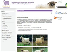 Tablet Screenshot of confelac.org